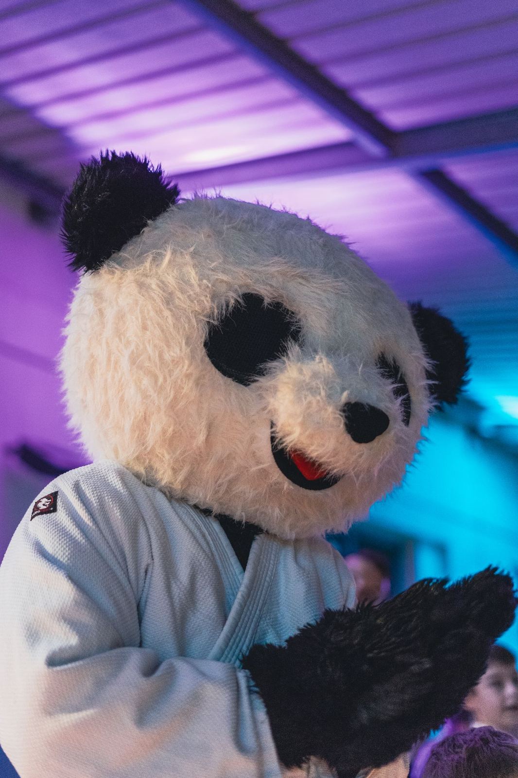 Mascotte panda qui applaudit