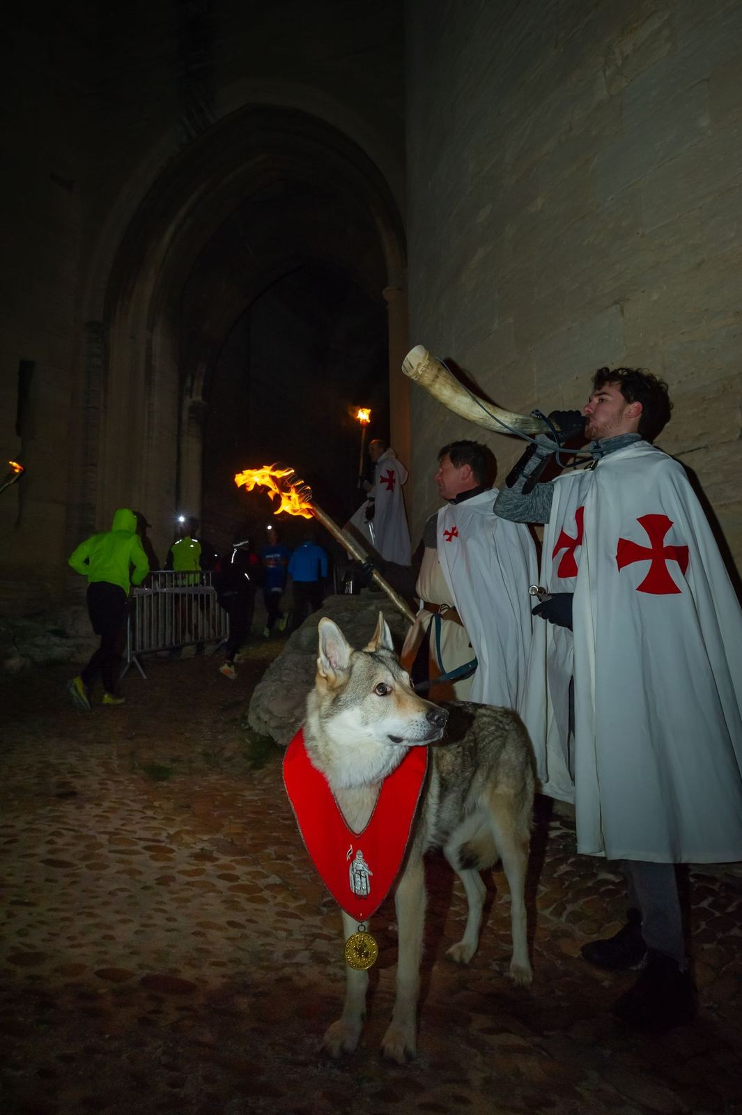 Templiers avec un cor et un chien-loup